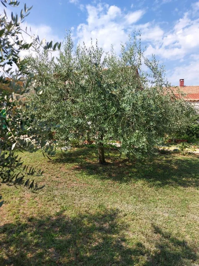 Apartments Marija  Umag