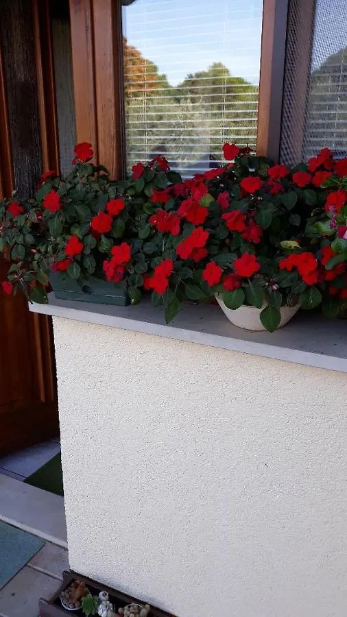 Apartments Marija 0*, Umag
